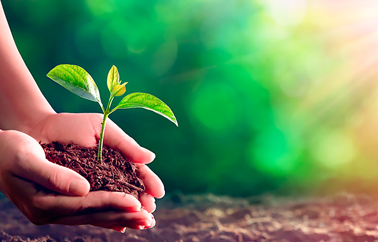 欧博abg(游戏)官网登录入口