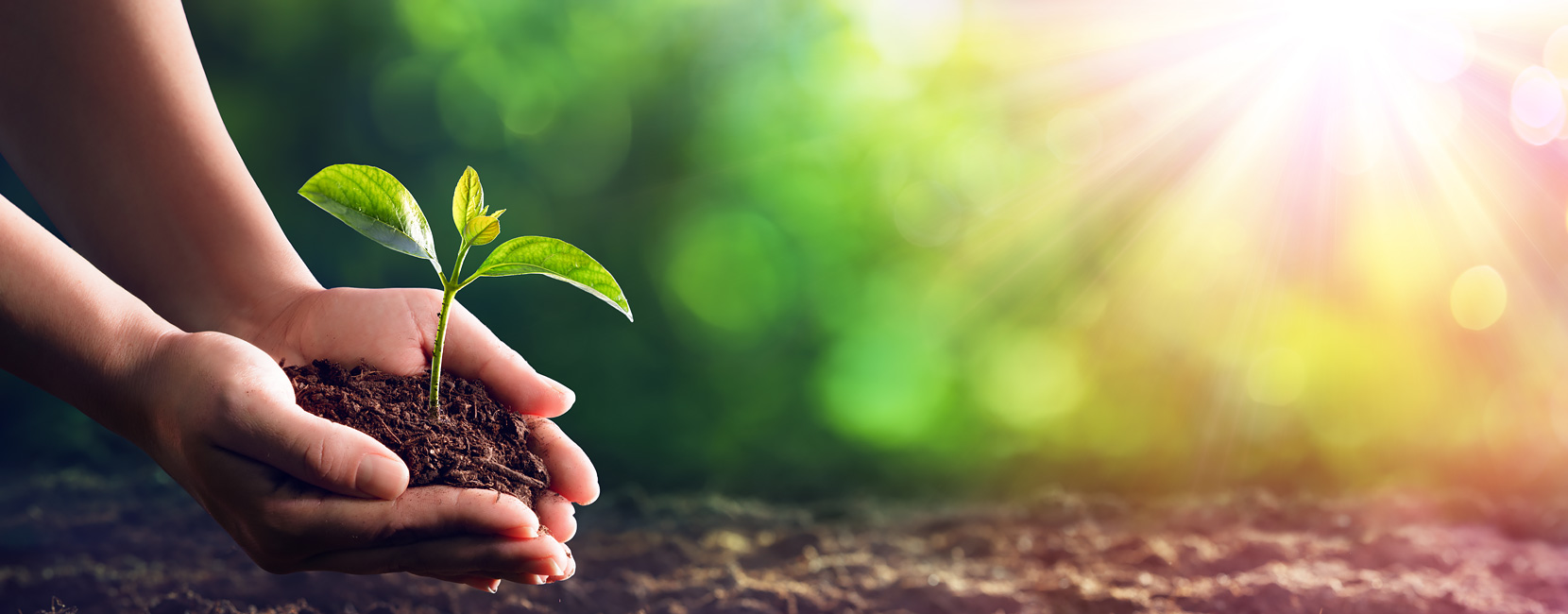 欧博abg(游戏)官网登录入口